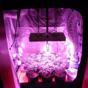 Grow Box with LEDs