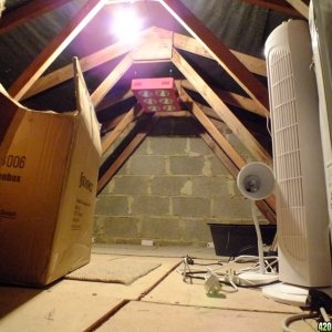 Attic grow room