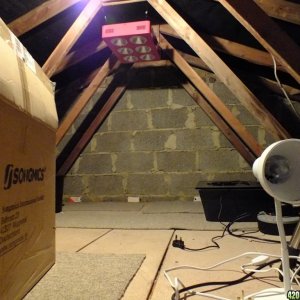 Attic grow room