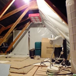 Attic grow room