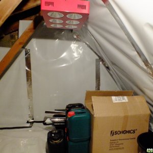 Attic grow room