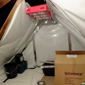 Attic grow room