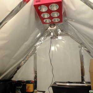 Attic grow room