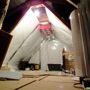 Attic grow room