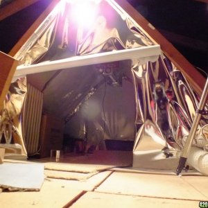 Attic grow room