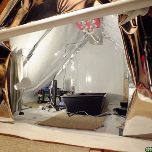 Attic grow room