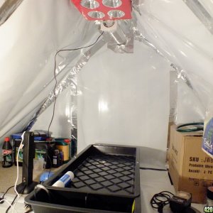 Attic grow room