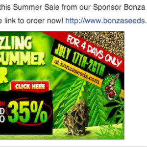 Bonza Summer Ad