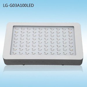 Top LED Light