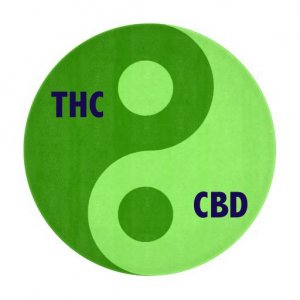 Yin Yang Symbol THC-CBD