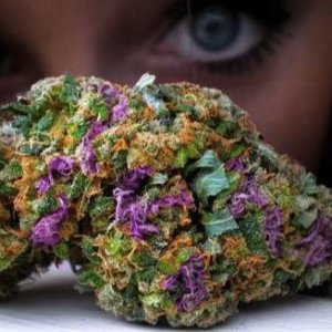 Pretty bud & eyes