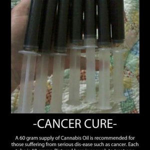 Cannabis Oil Cancer Cure