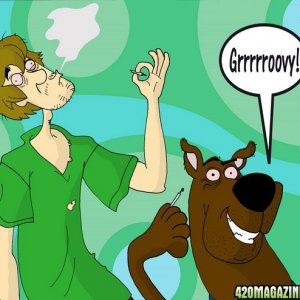 Scooby_Doo_and_Shaggy_Stoned_by_HanzSolo