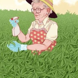 Cartoon Grandma Farmer