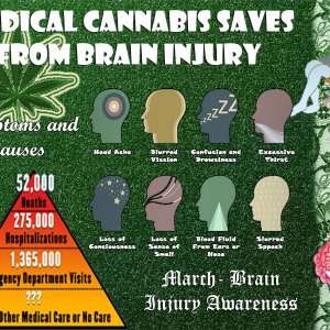 medical-cannabis-saves-from-brain-injury