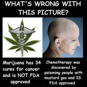 Cancer & Cannabis