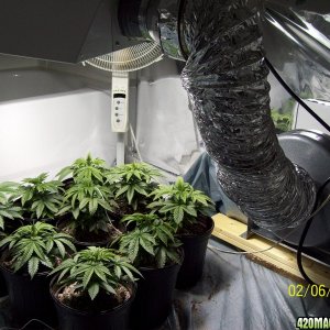 grow room