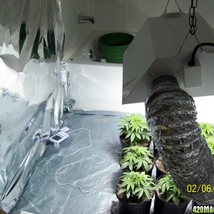 grow room (2)