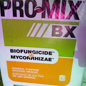 promix6