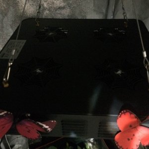 Spider COB LED Grow Light