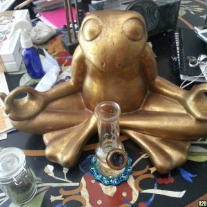 Bobby the Bubbler & meditating frog