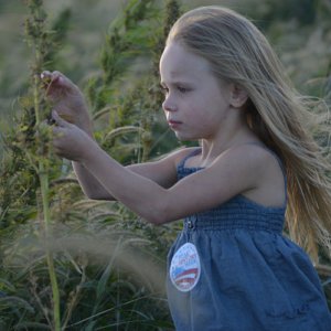 Girl 1st Hemp Harvest