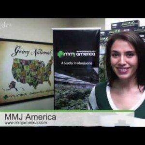 MMJ America