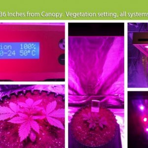 E.shine 5G GrowSun 320W Grow Test