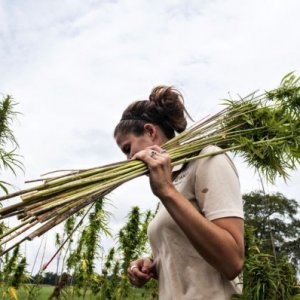 Hemp Girl