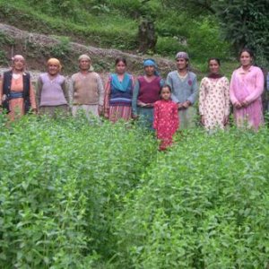 Himachal Women Farmers