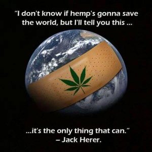 Save The World - Hemp