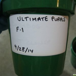 Ultimate Purple F-1