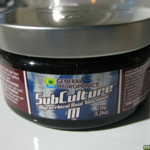 Sub Culture - M