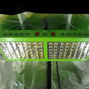 Top LED 96x3-watt Reflector grow light