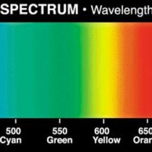 spectrum2