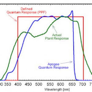 quantcomp1