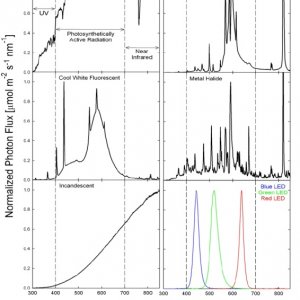 quantcomp2