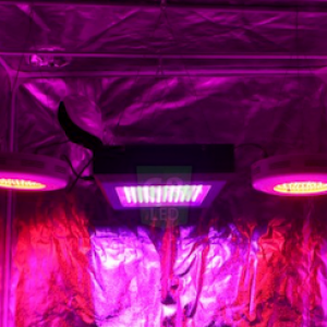 Dorm Grow Lights