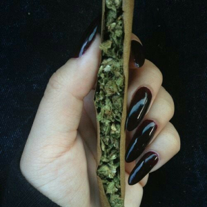 Weed in Blunt