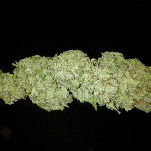 Lush LED Grown Photos