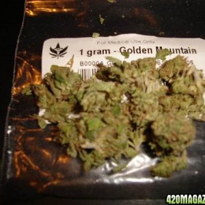 Golden Mountain