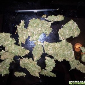 Compressed Mexican buds