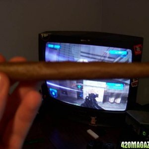 blunt