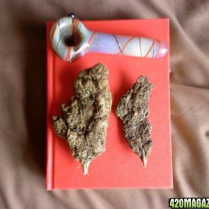 Skunk bud and pipe