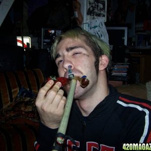 Crossbreed smoking weed