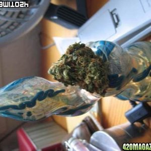 Bubbler and Bud