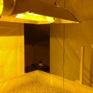 Grow room