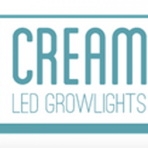 Cream LED Logo