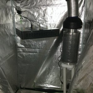 grow tent