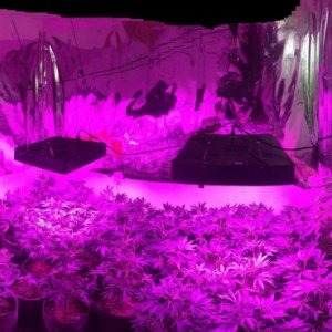 Veg room